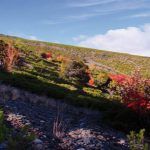 Enrique GarciÌa Bravo 3